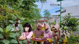 Program BRI Menanam telah berhasil menanam 904.196 bibit pohon produktif yang disalurkan kepada nasabah Mikro dan Desa BRIliaN. (Dok. BRI)